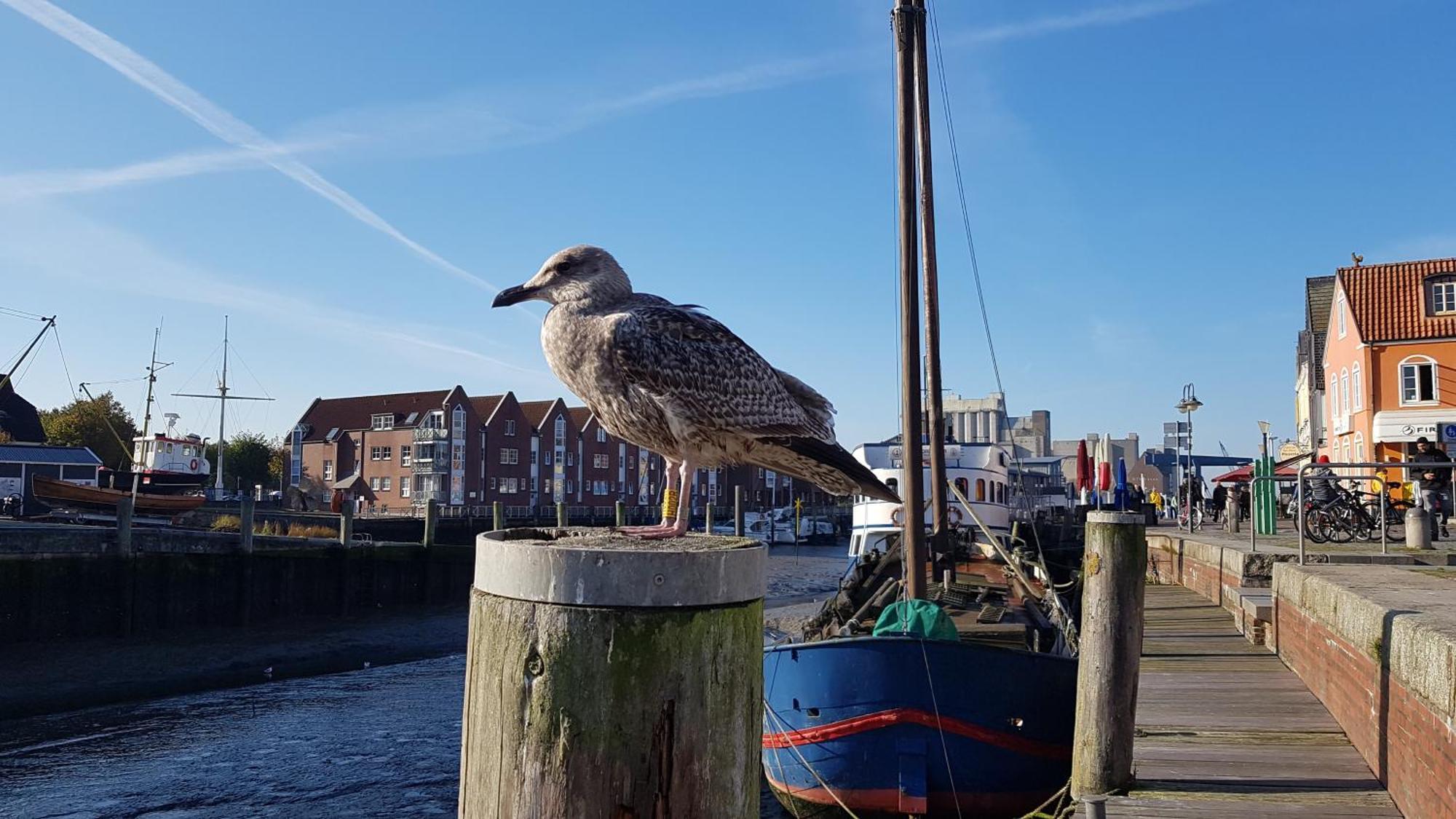 Ostello Sleeptide Husum  Esterno foto